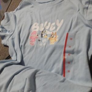 NWT Bluey Adult Graphic T-Shirt – Size XS